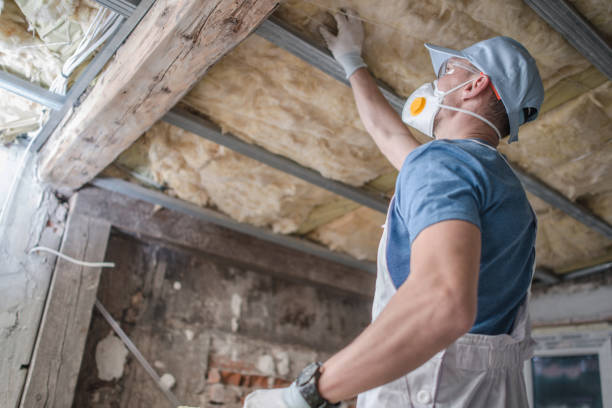 Best Insulation Installation Services in St Helens, OR